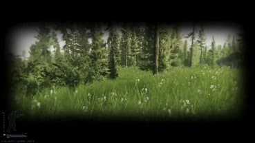 desmondpilak_thumbnail