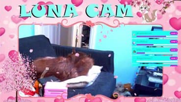 realzbluewater_thumbnail