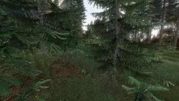 smoke_thumbnail